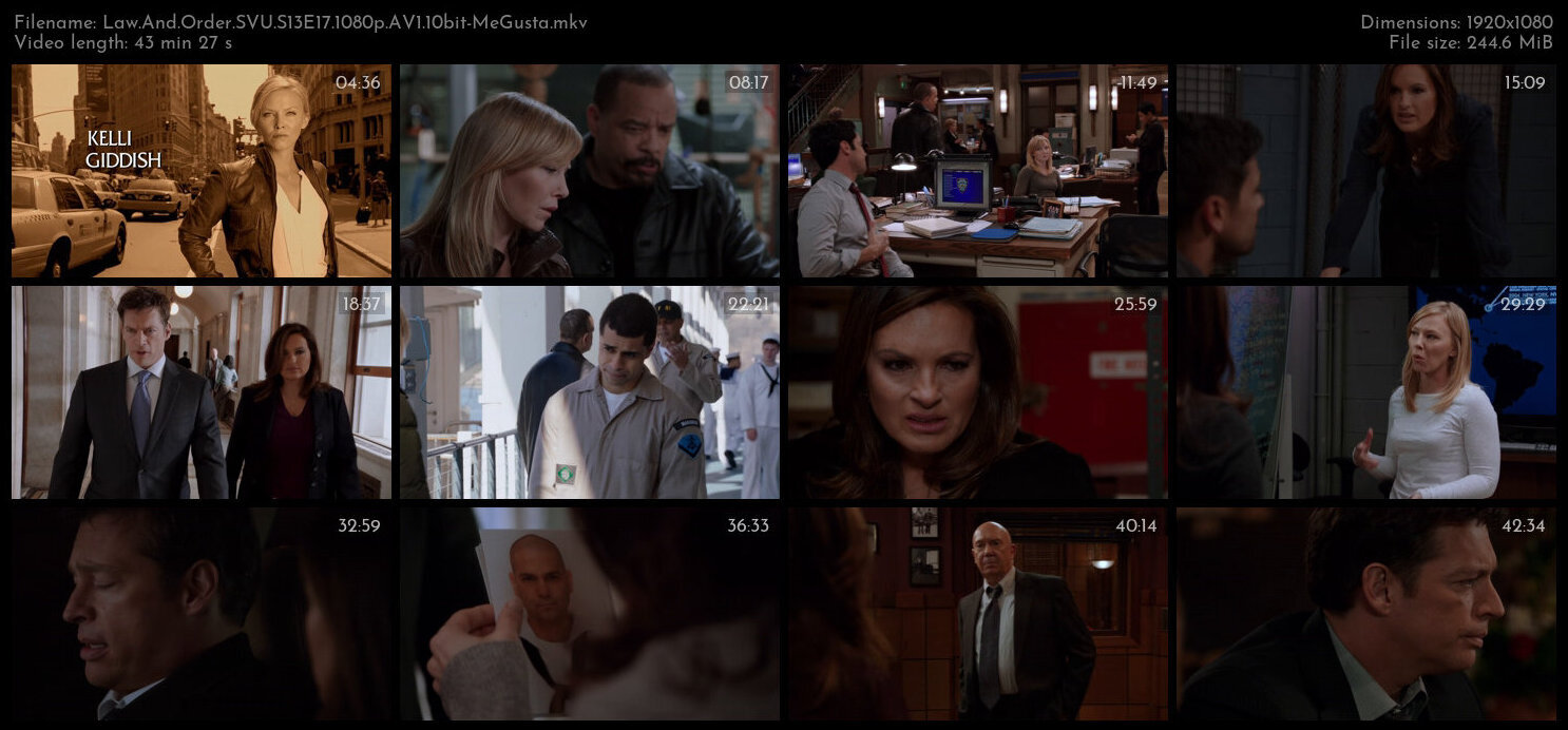 Law And Order SVU S13E17 1080p AV1 10bit MeGusta TGx