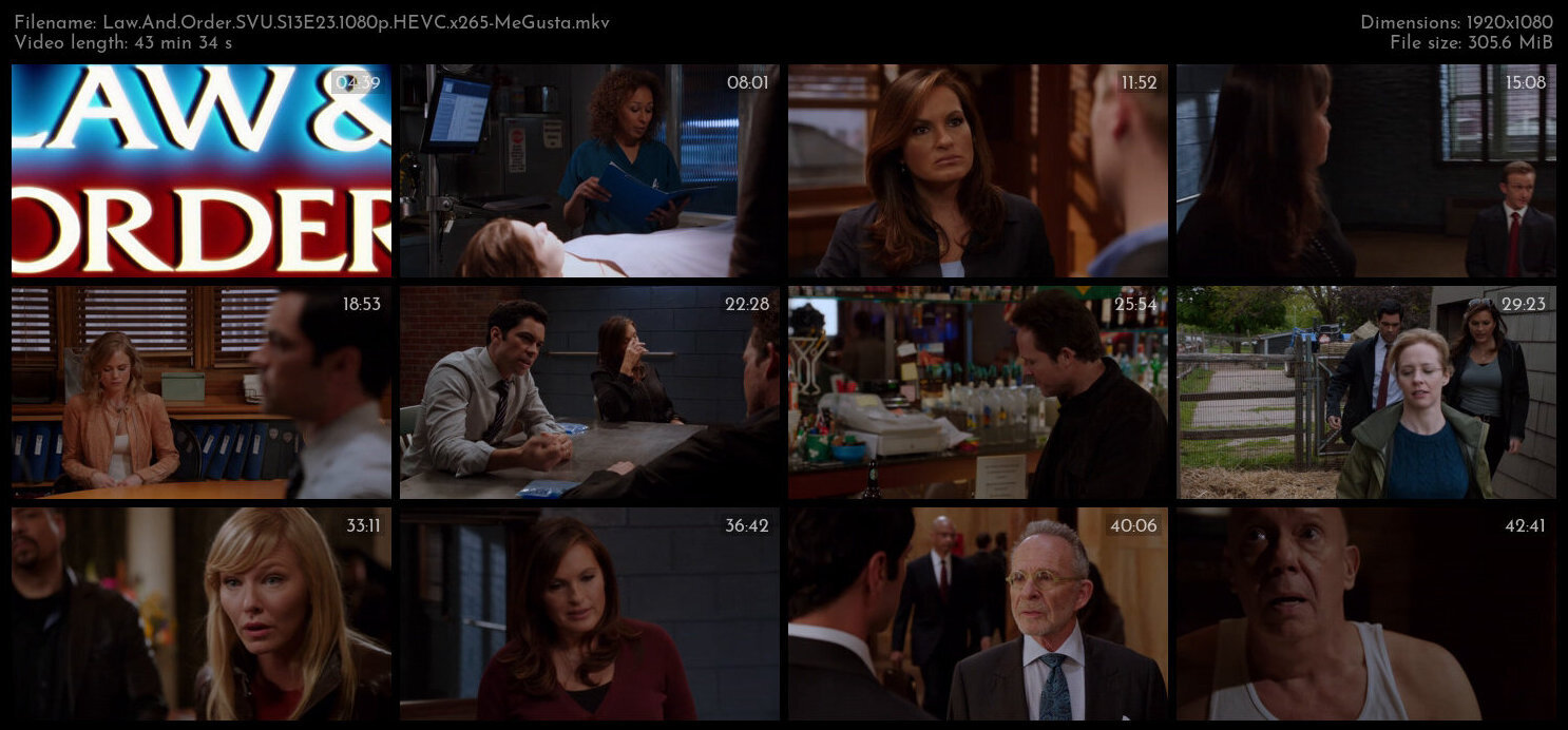 Law And Order SVU S13E23 1080p HEVC x265 MeGusta TGx