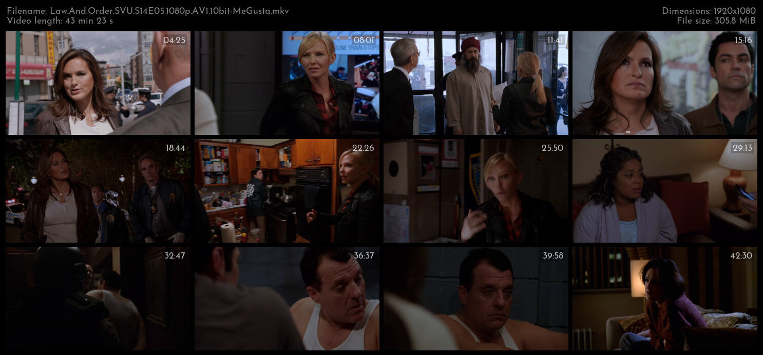 Law And Order SVU S14E05 1080p AV1 10bit MeGusta TGx