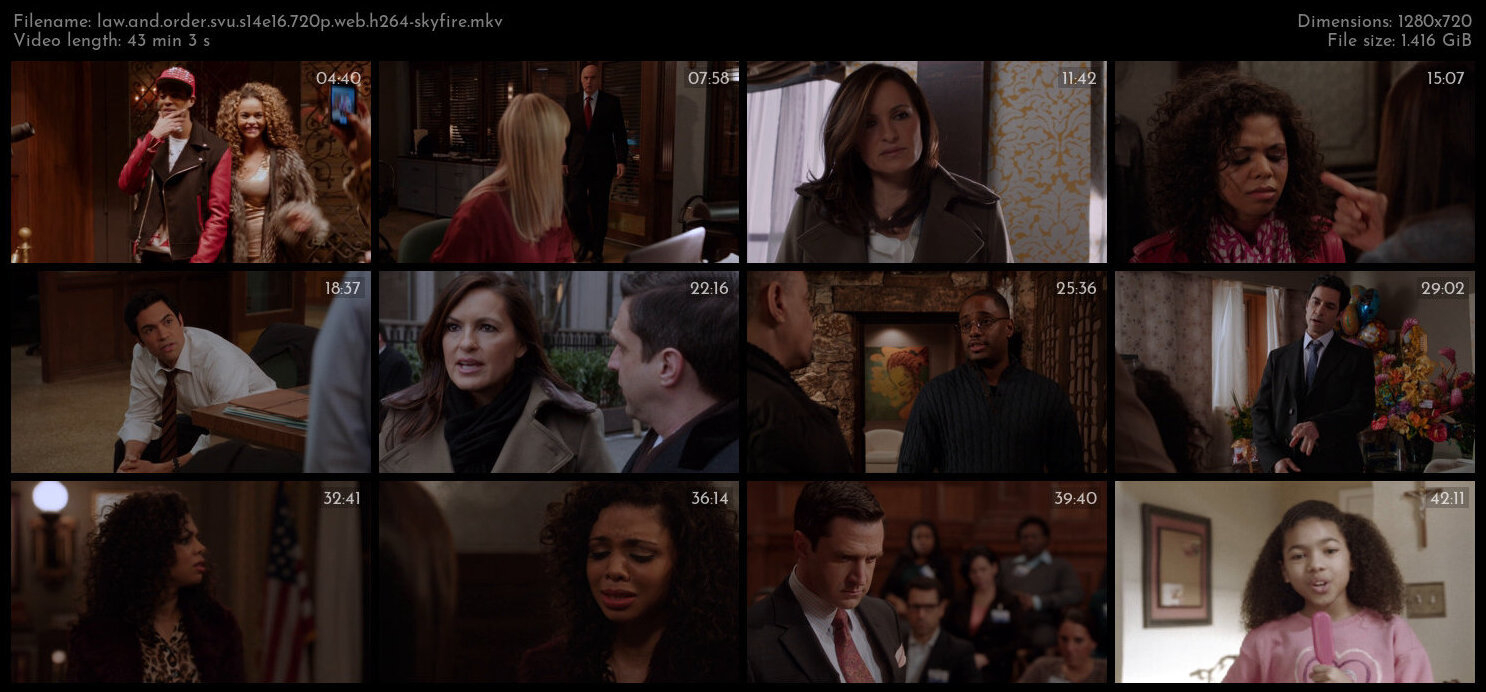 Law And Order SVU S14E16 720p WEB H264 SKYFiRE TGx