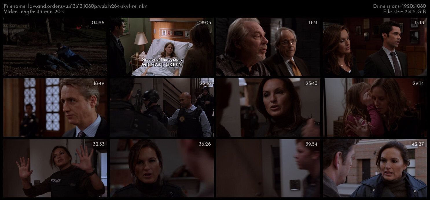 Law And Order SVU S13E13 1080p WEB H264 SKYFiRE TGx