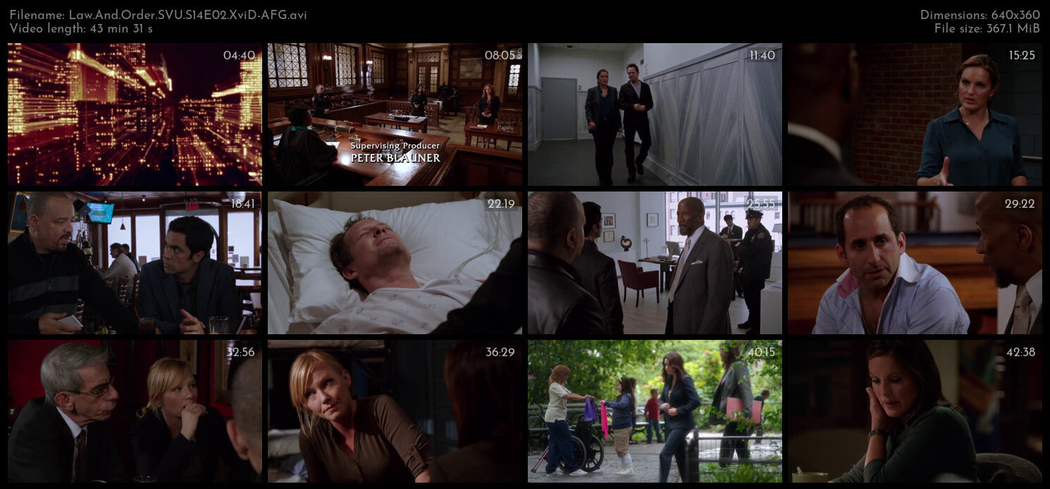 Law And Order SVU S14E02 XviD AFG TGx