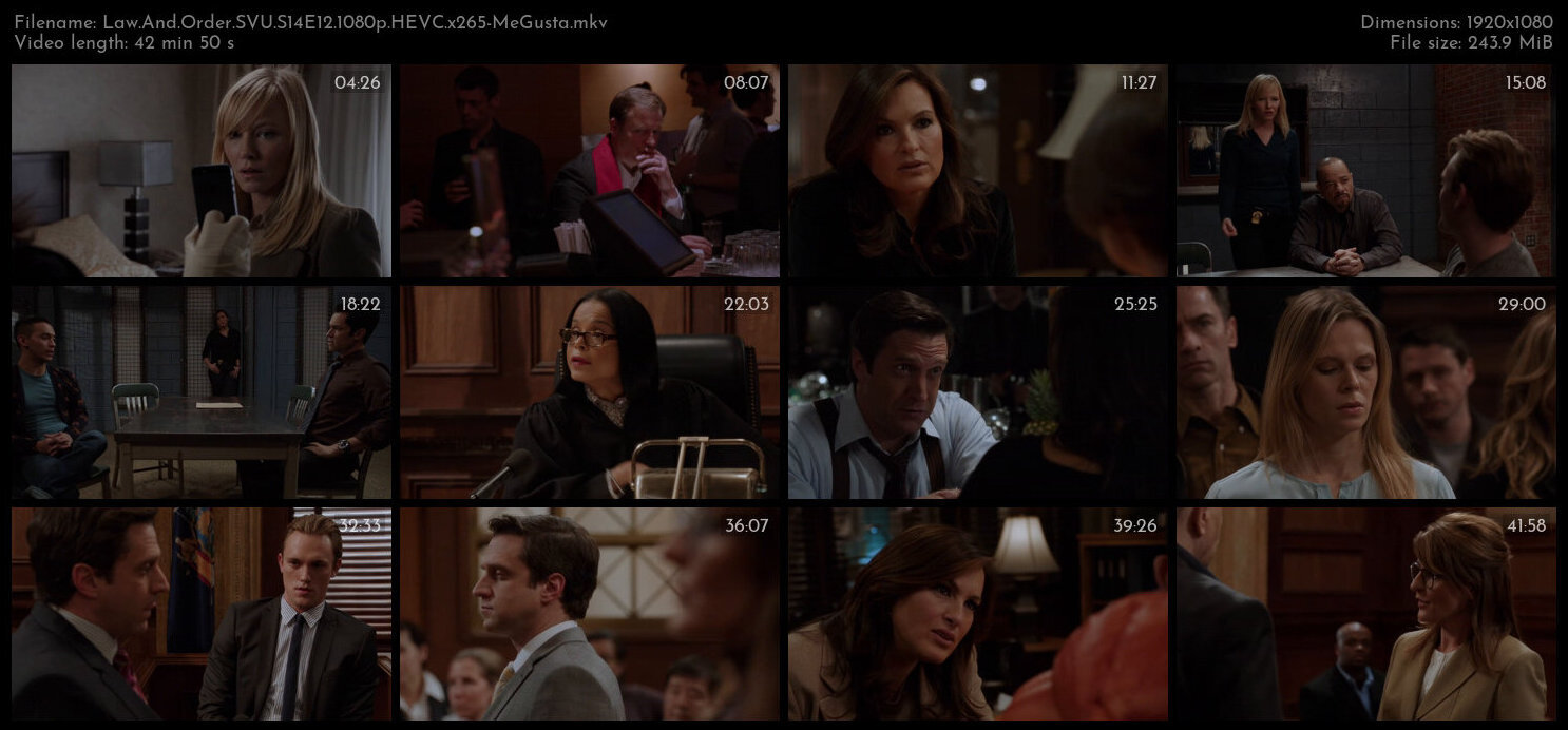 Law And Order SVU S14E12 1080p HEVC x265 MeGusta TGx