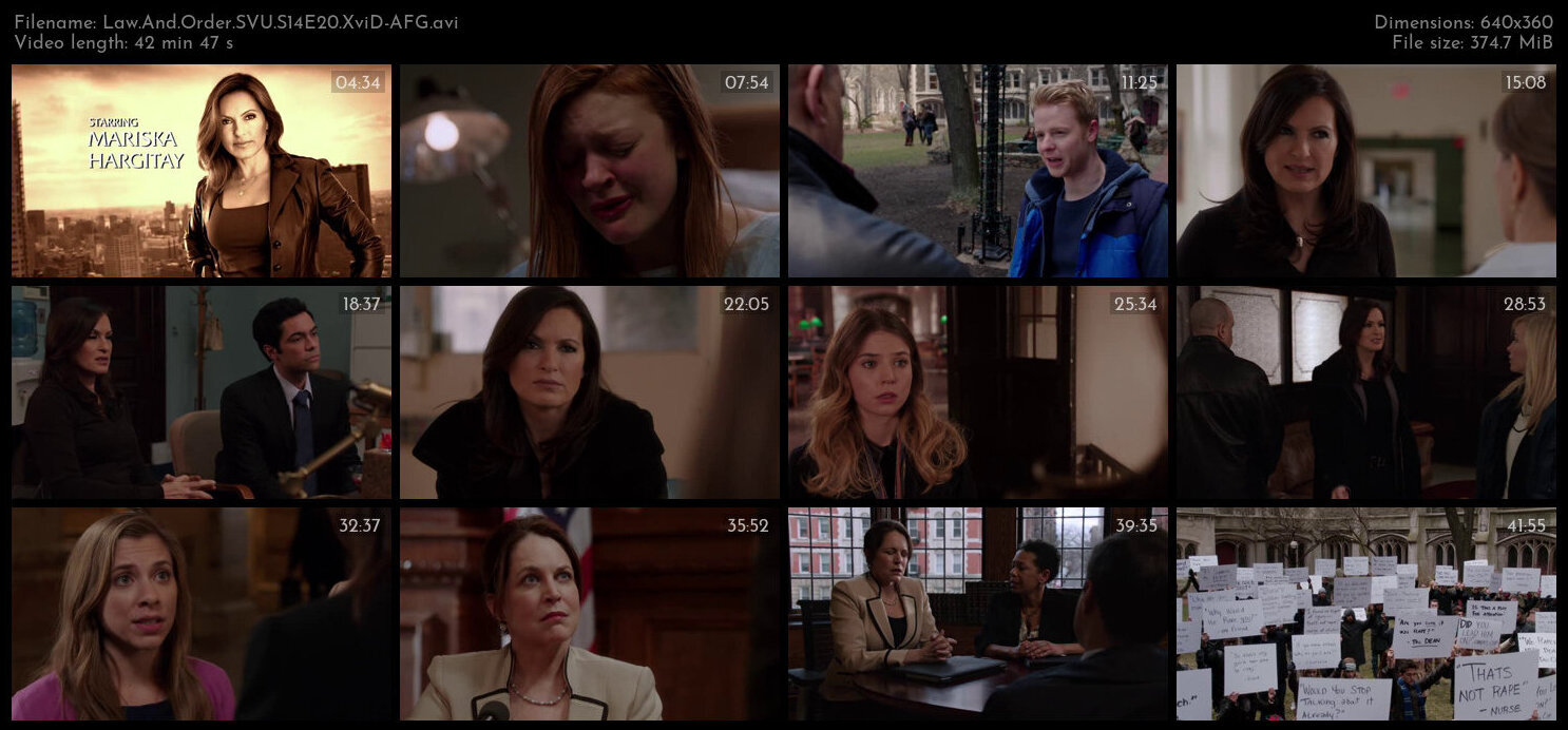 Law And Order SVU S14E20 XviD AFG TGx