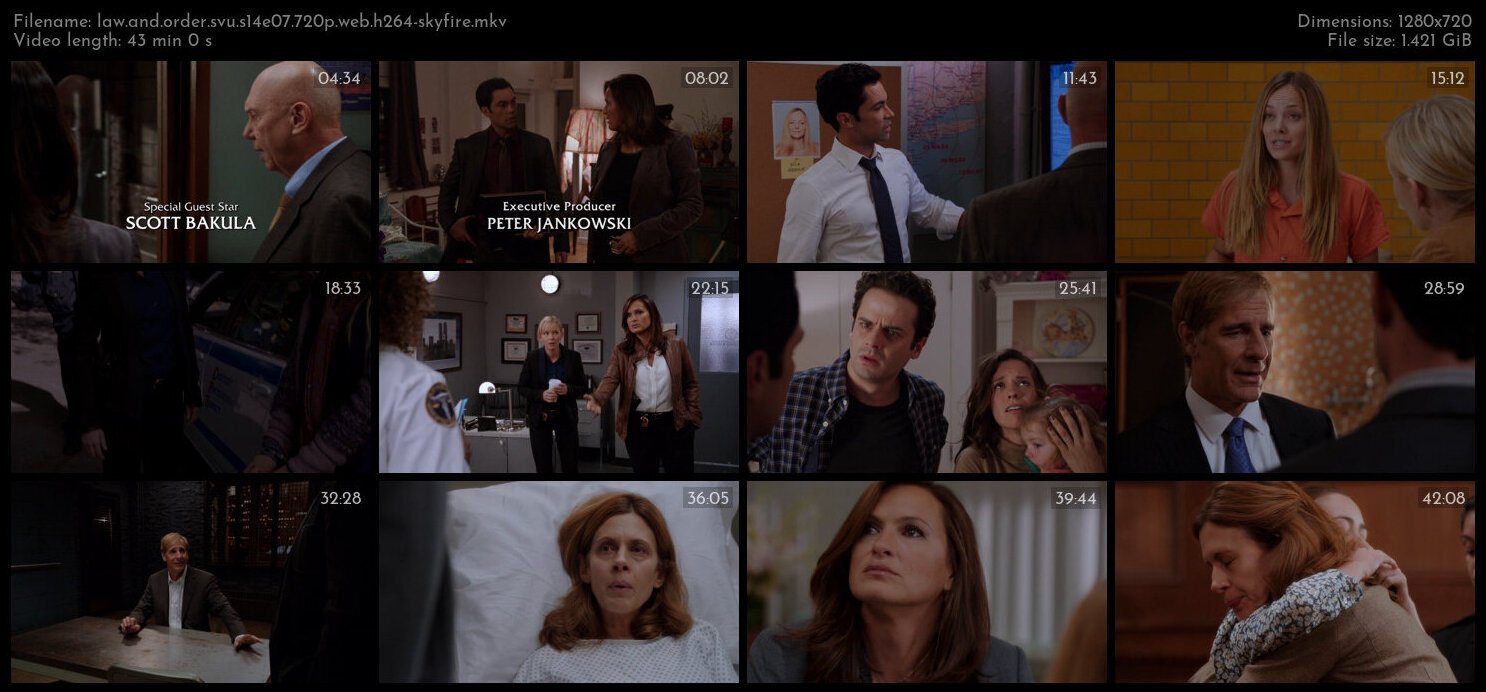 Law And Order SVU S14E07 720p WEB H264 SKYFiRE TGx