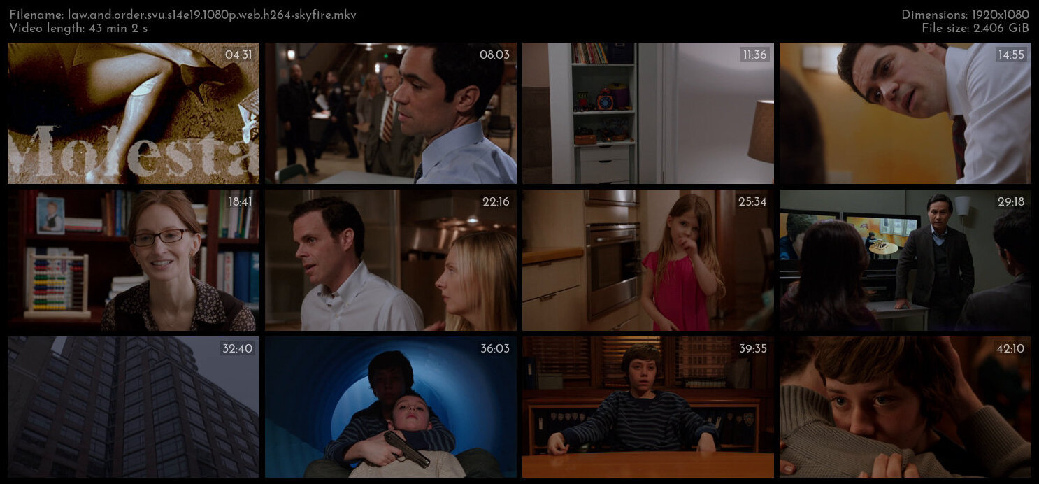 Law And Order SVU S14E19 1080p WEB H264 SKYFiRE TGx