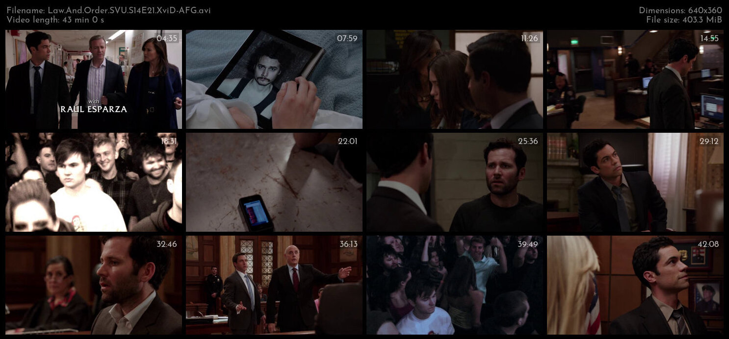 Law And Order SVU S14E21 XviD AFG TGx