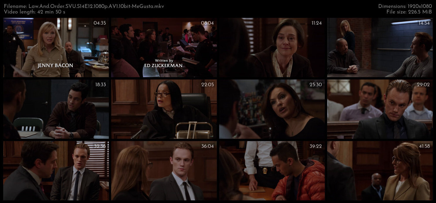 Law And Order SVU S14E12 1080p AV1 10bit MeGusta TGx