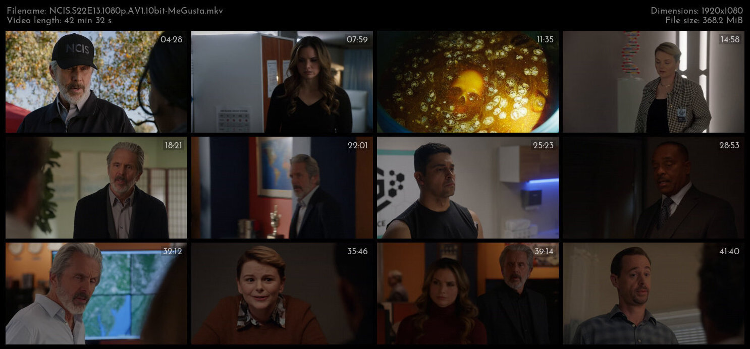 NCIS S22E13 1080p AV1 10bit MeGusta TGx