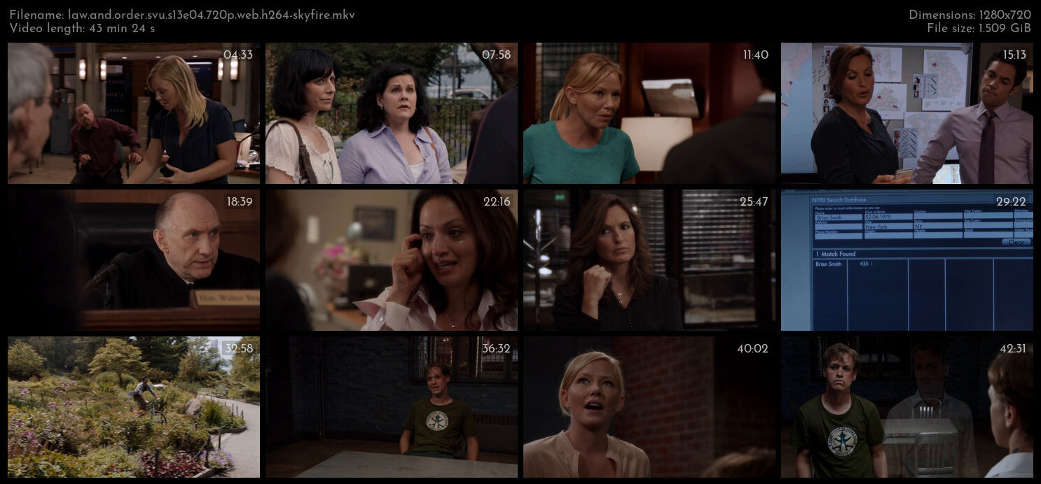 Law And Order SVU S13E04 720p WEB H264 SKYFiRE TGx