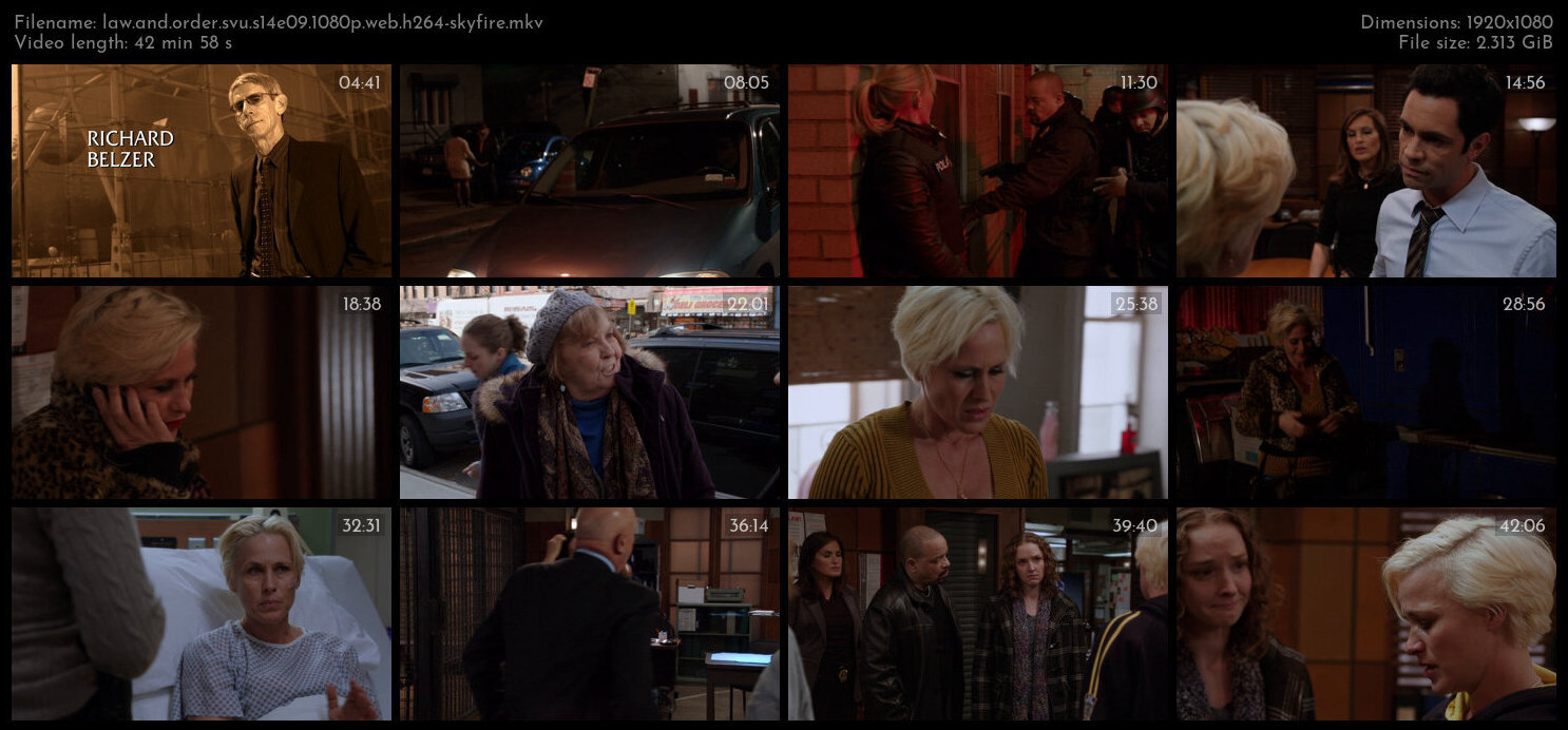 Law And Order SVU S14E09 1080p WEB H264 SKYFiRE TGx