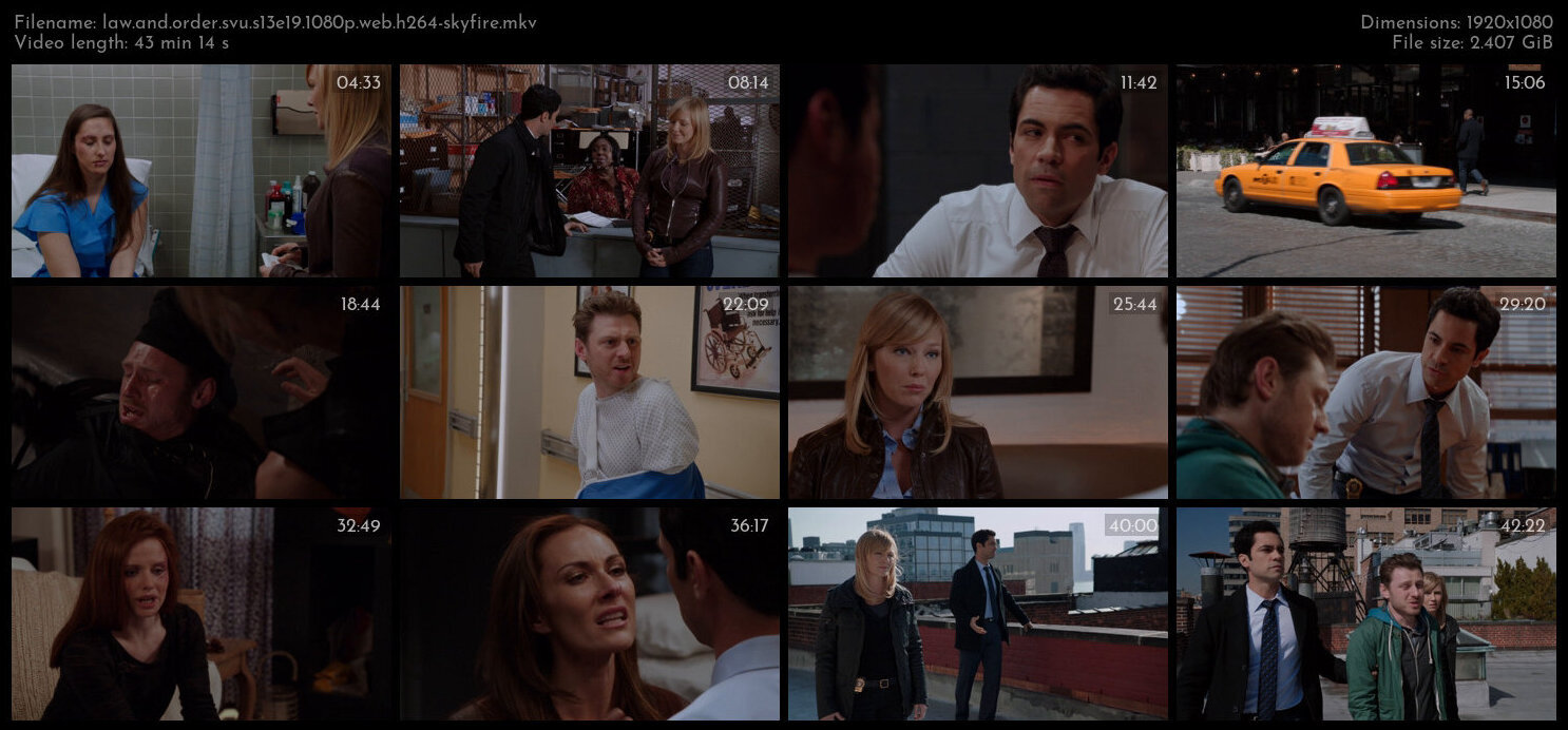 Law And Order SVU S13E19 1080p WEB H264 SKYFiRE TGx