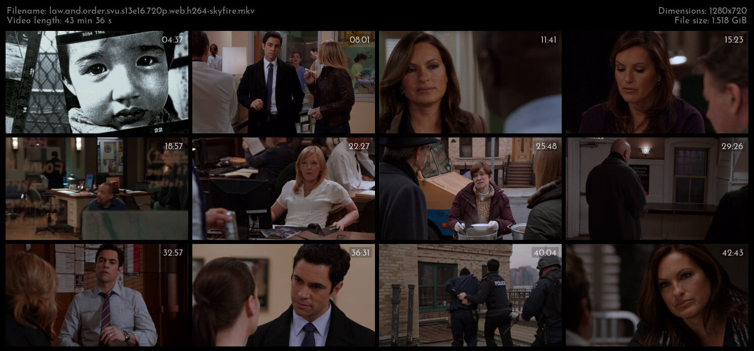 Law And Order SVU S13E16 720p WEB H264 SKYFiRE TGx