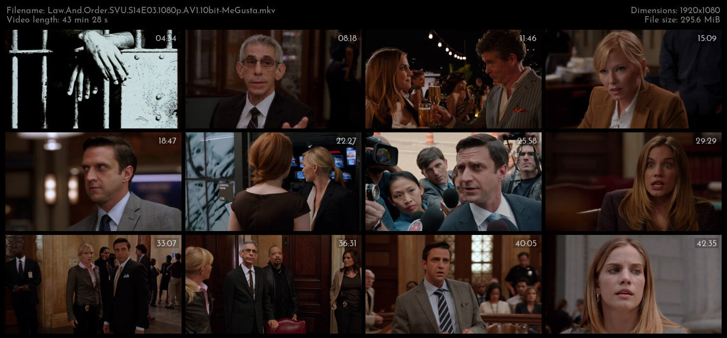 Law And Order SVU S14E03 1080p AV1 10bit MeGusta TGx