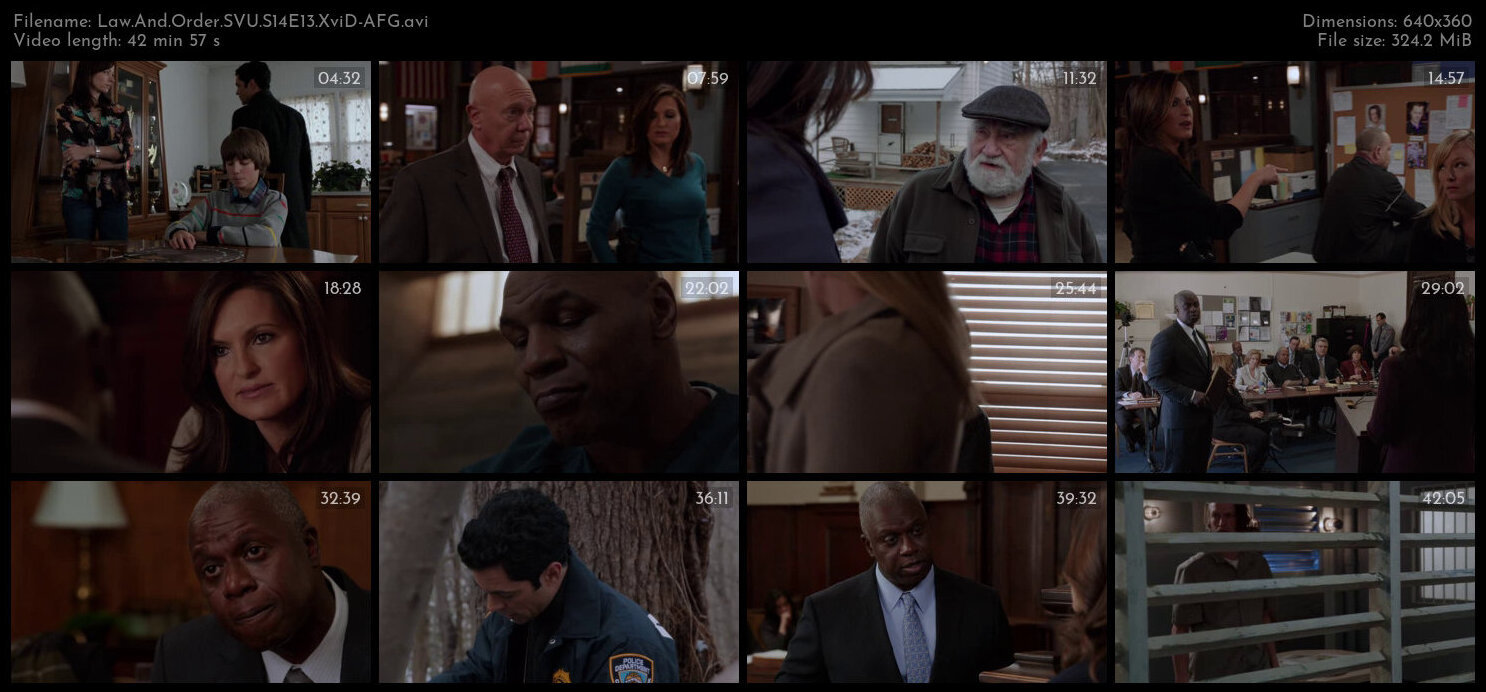 Law And Order SVU S14E13 XviD AFG TGx