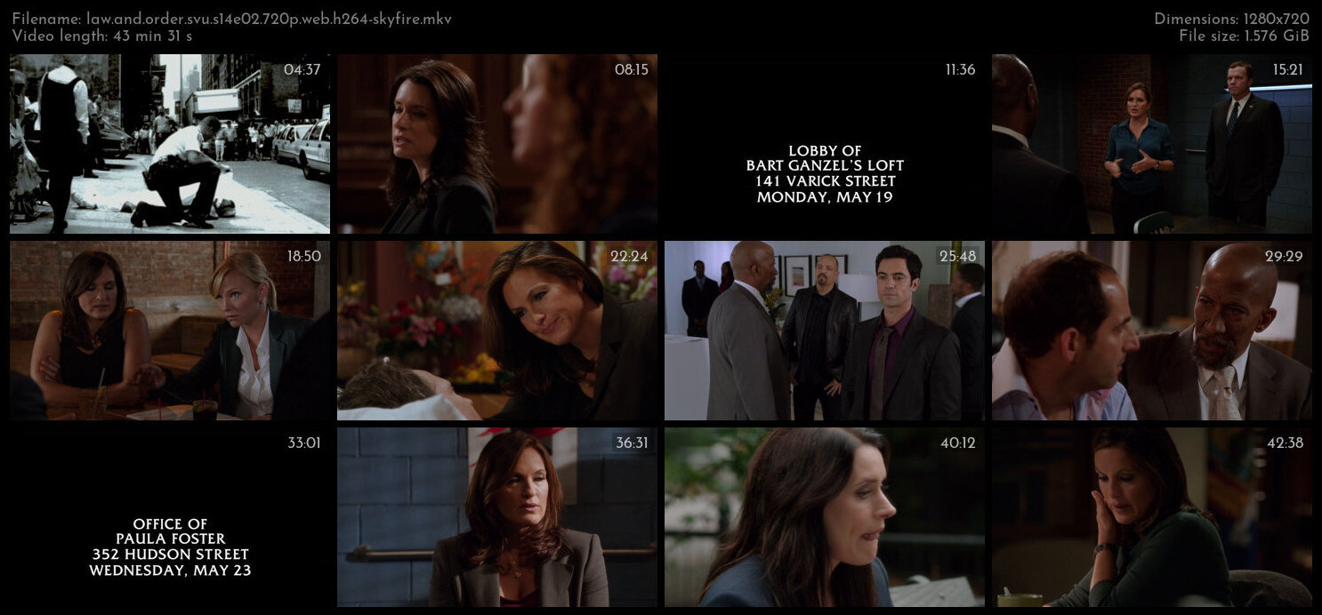 Law And Order SVU S14E02 720p WEB H264 SKYFiRE TGx