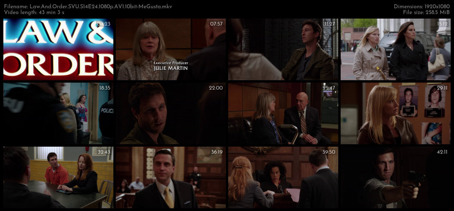 Law And Order SVU S14E24 1080p AV1 10bit MeGusta TGx