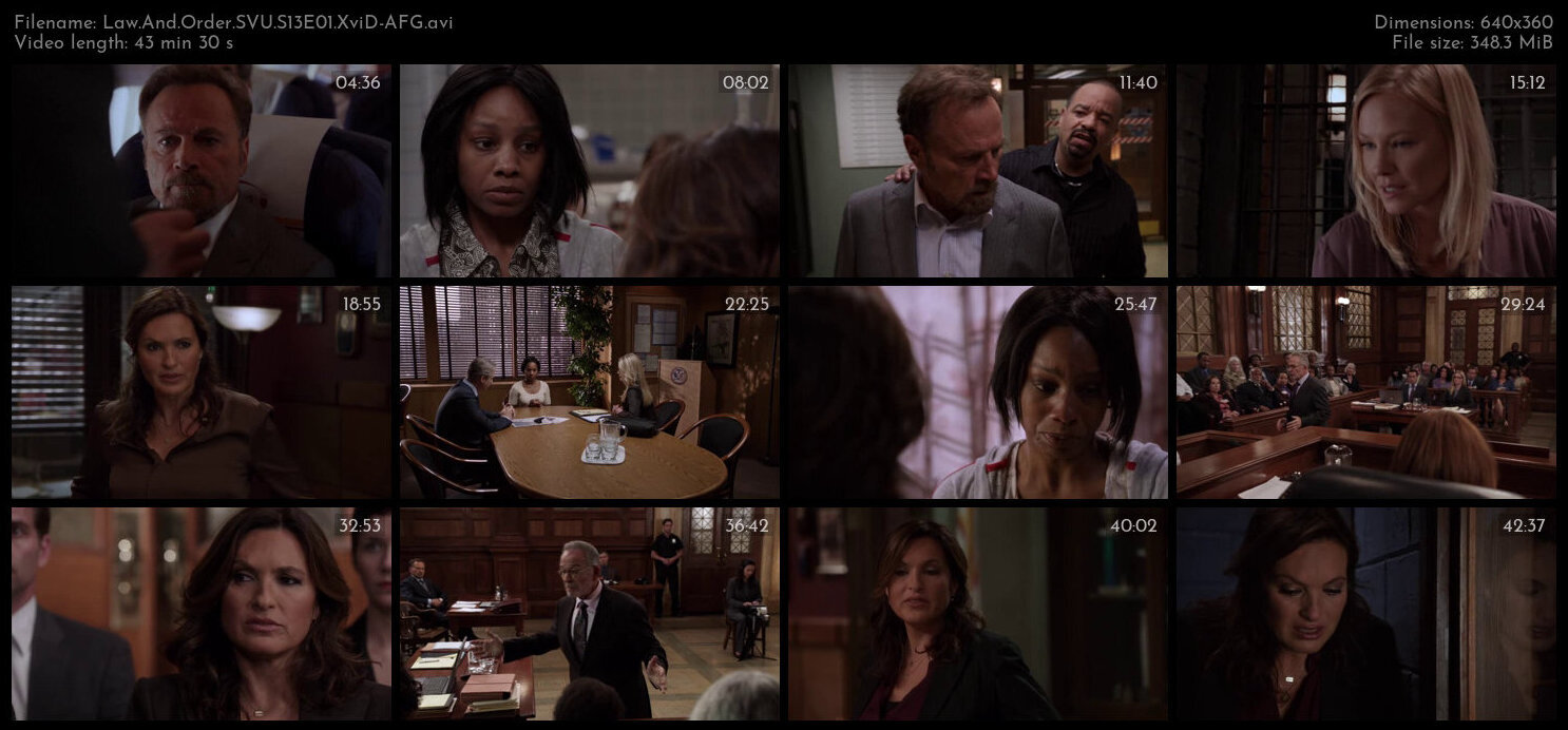 Law And Order SVU S13E01 XviD AFG TGx