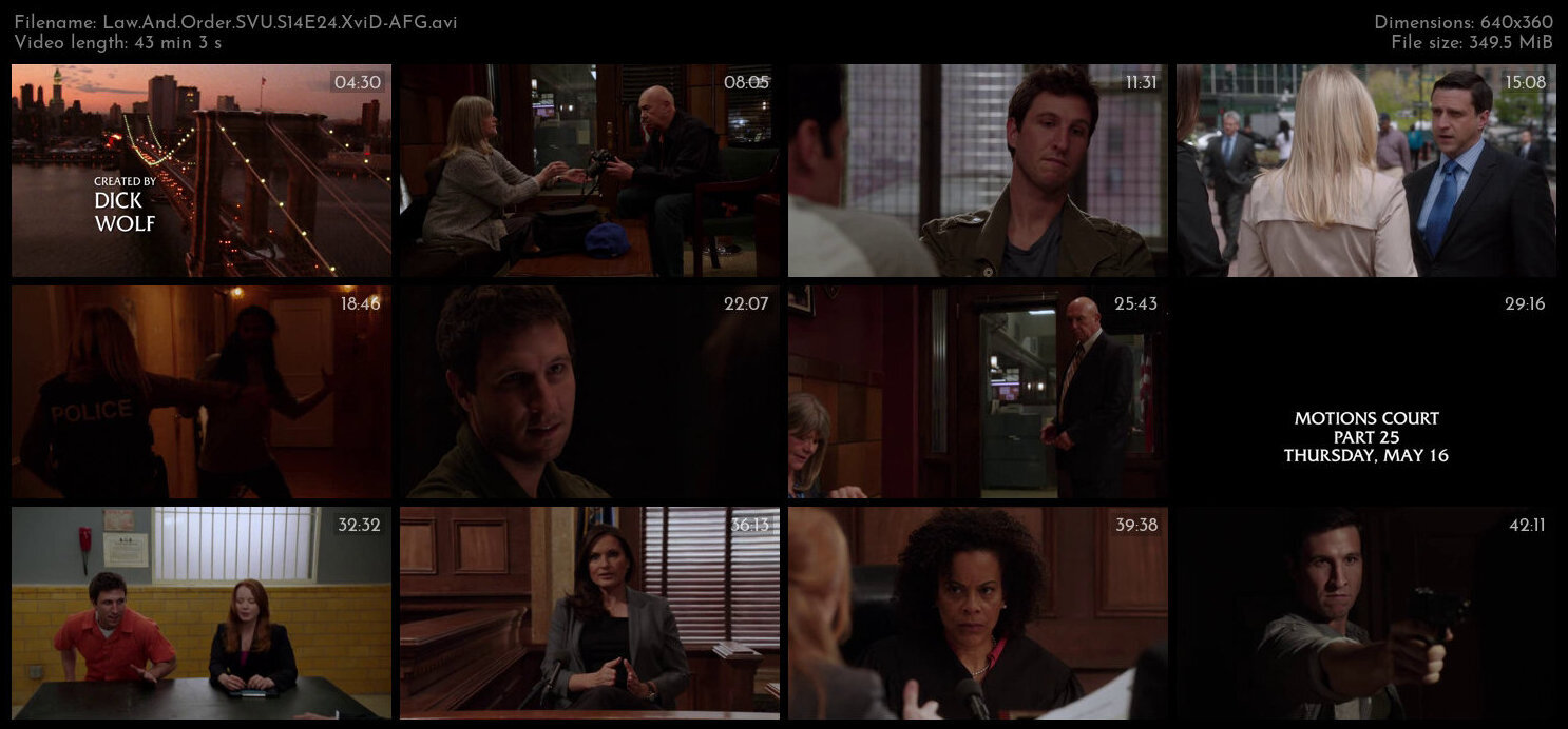 Law And Order SVU S14E24 XviD AFG TGx