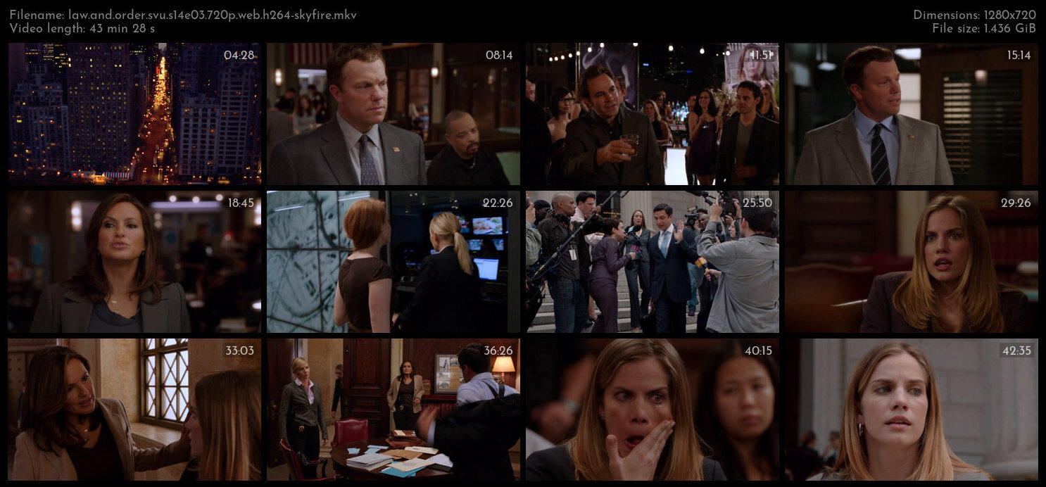 Law And Order SVU S14E03 720p WEB H264 SKYFiRE TGx