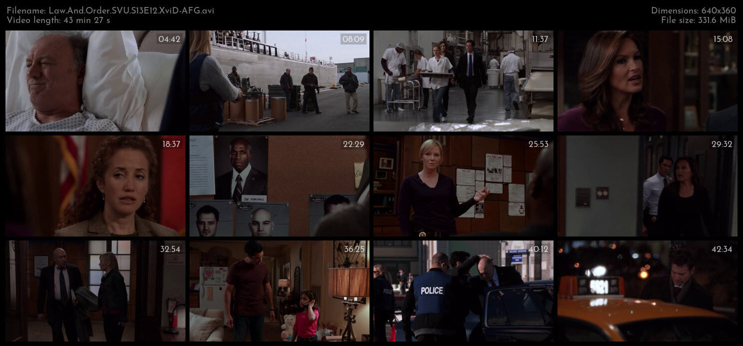 Law And Order SVU S13E12 XviD AFG TGx