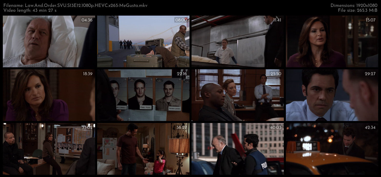 Law And Order SVU S13E12 1080p HEVC x265 MeGusta TGx