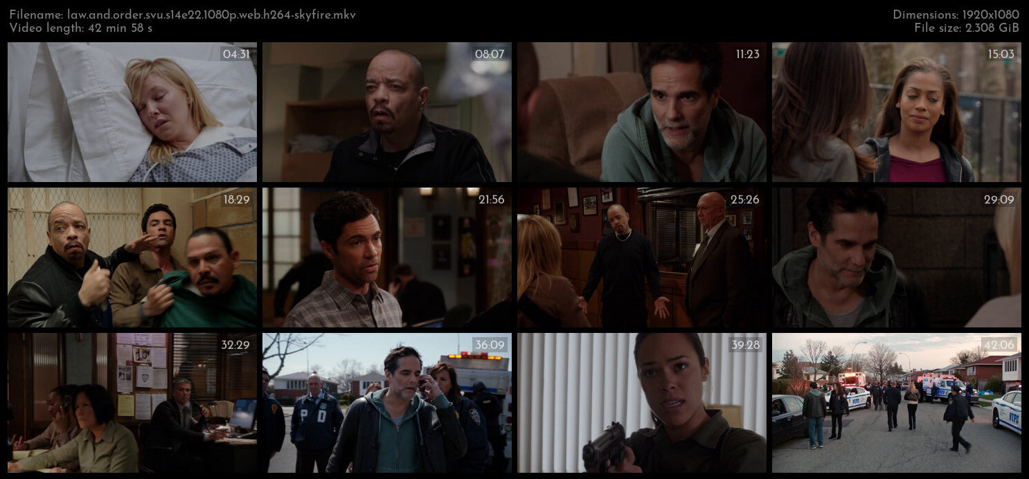 Law And Order SVU S14E22 1080p WEB H264 SKYFiRE TGx