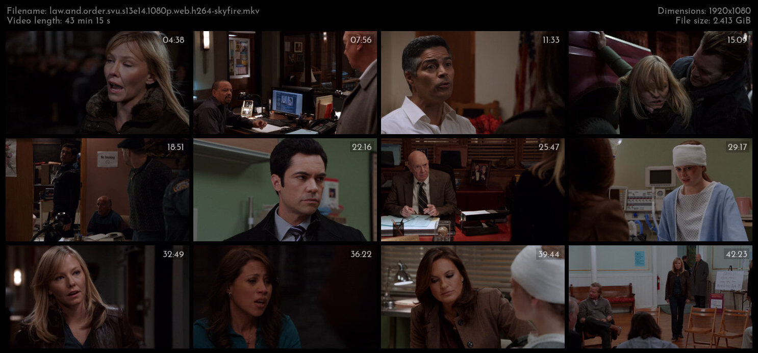 Law And Order SVU S13E14 1080p WEB H264 SKYFiRE TGx