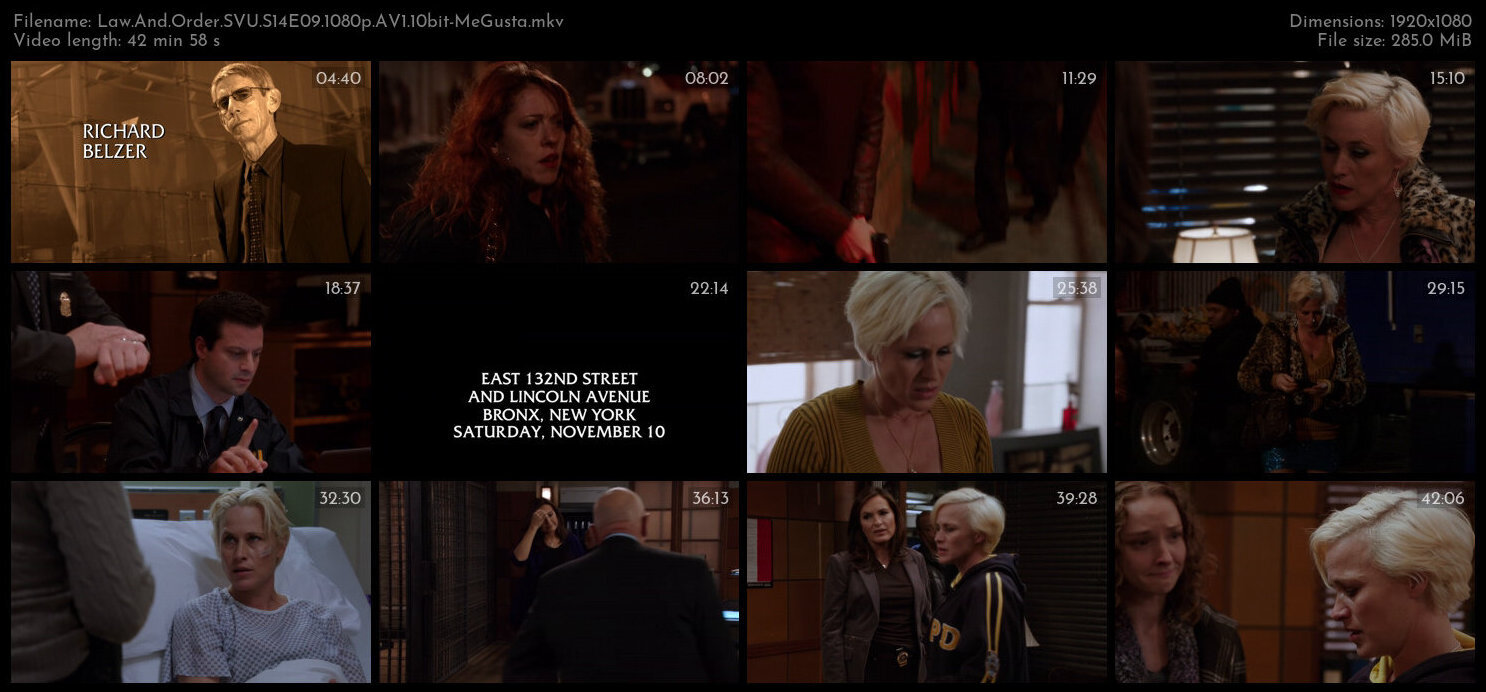 Law And Order SVU S14E09 1080p AV1 10bit MeGusta TGx