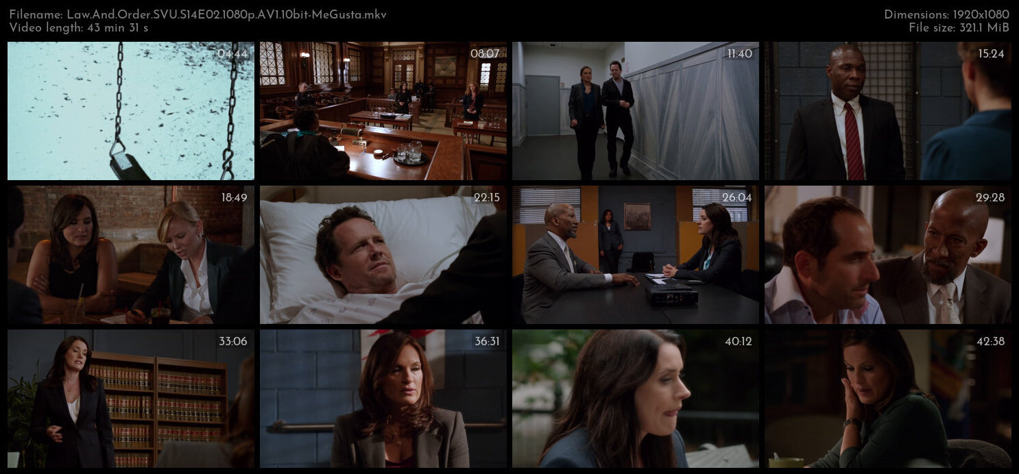 Law And Order SVU S14E02 1080p AV1 10bit MeGusta TGx