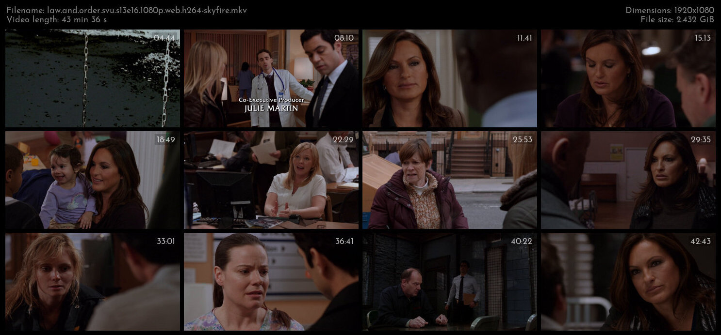 Law And Order SVU S13E16 1080p WEB H264 SKYFiRE TGx