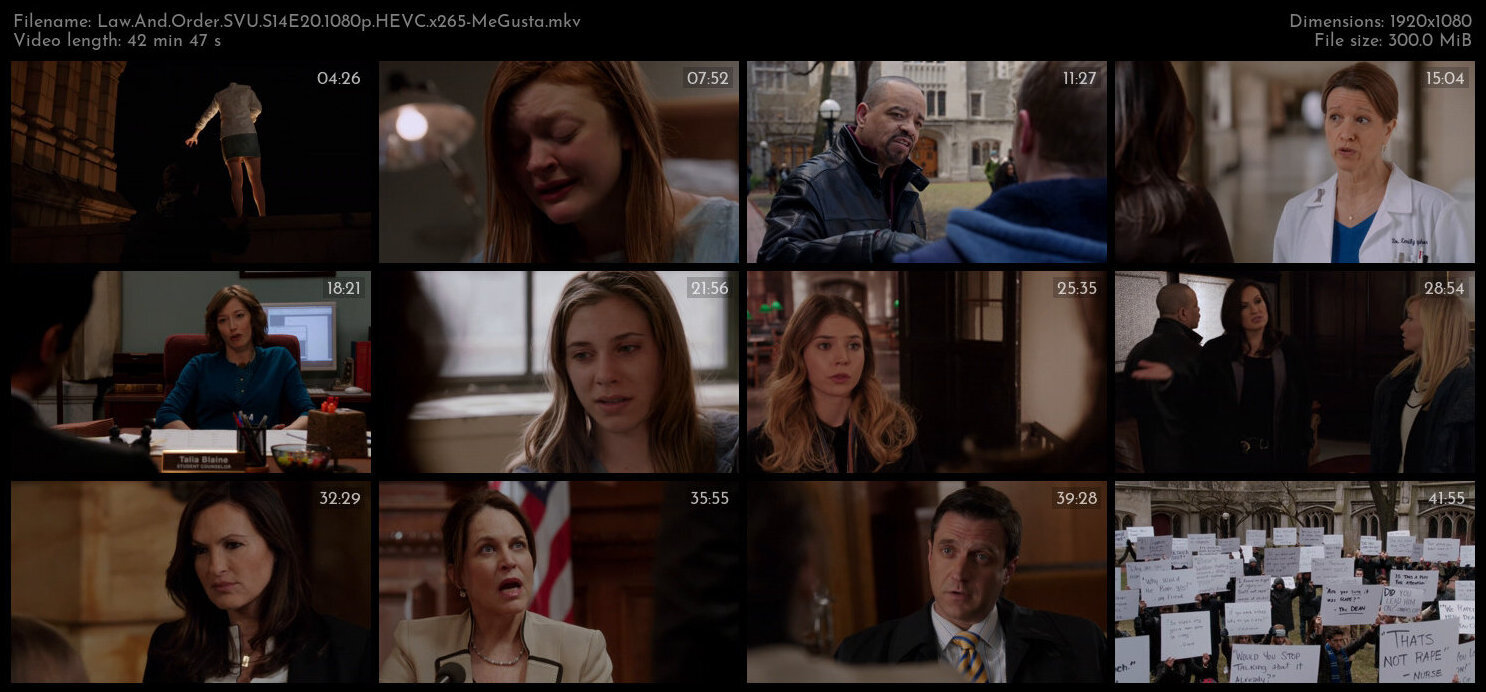 Law And Order SVU S14E20 1080p HEVC x265 MeGusta TGx