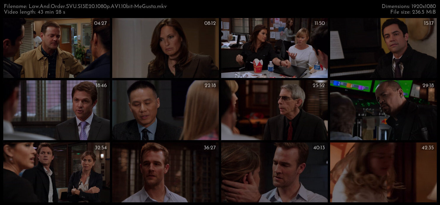 Law And Order SVU S13E20 1080p AV1 10bit MeGusta TGx