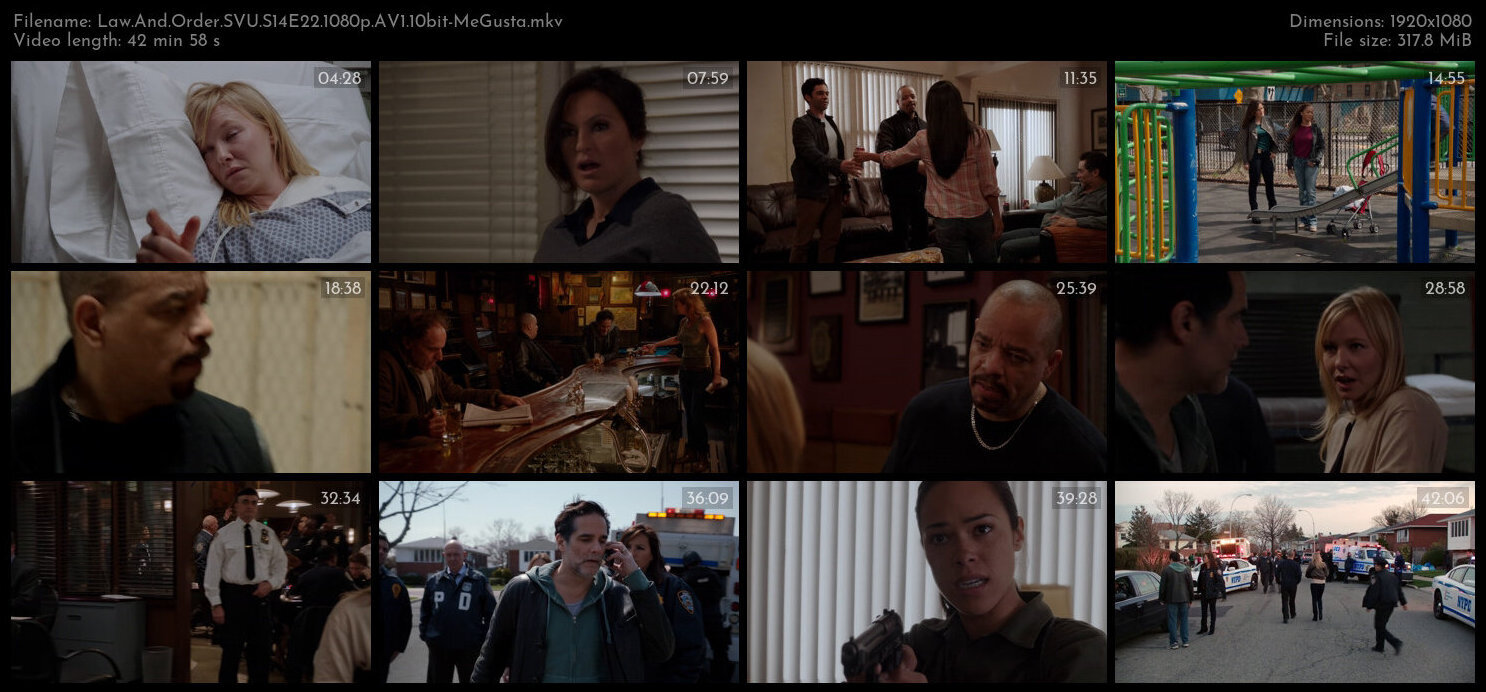 Law And Order SVU S14E22 1080p AV1 10bit MeGusta TGx