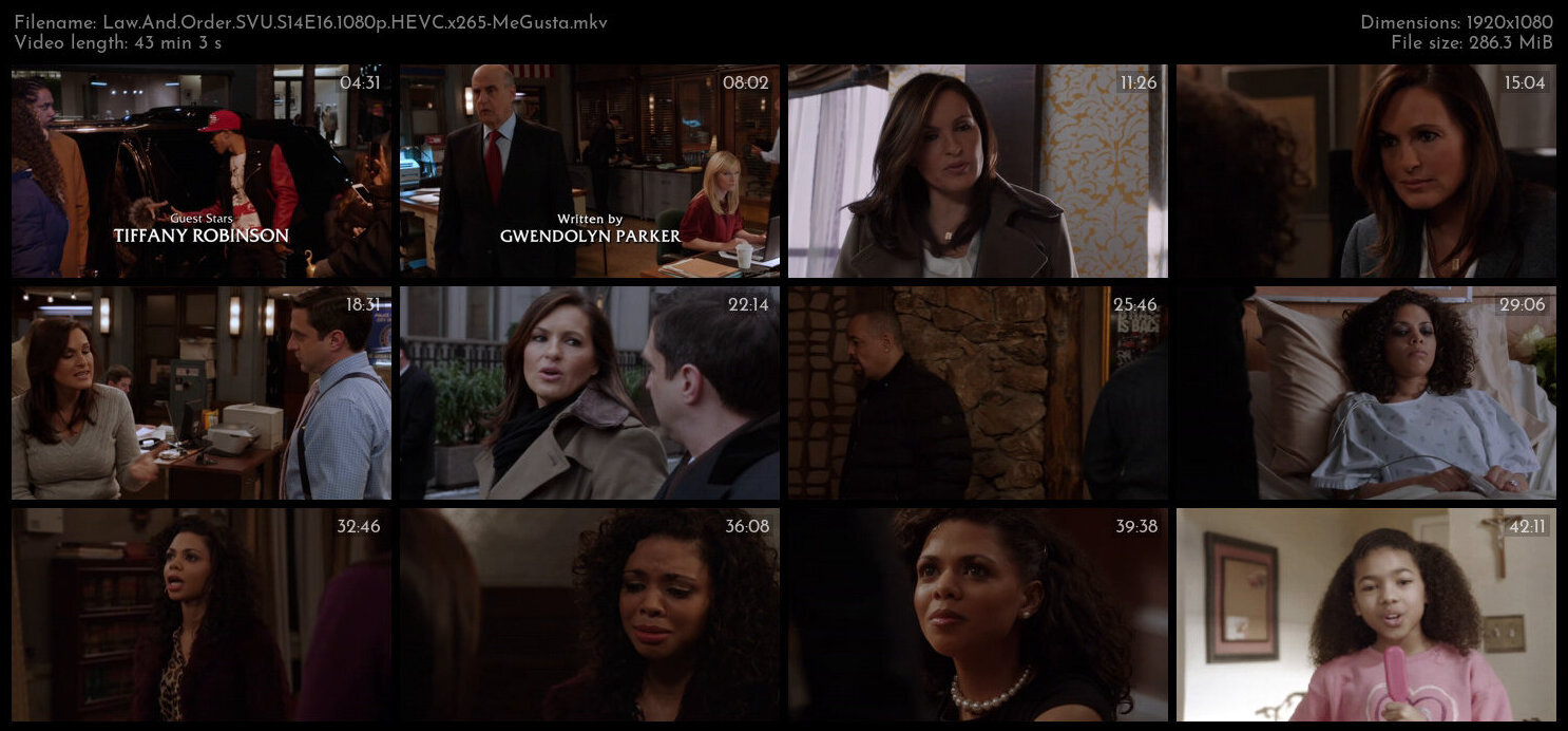 Law And Order SVU S14E16 1080p HEVC x265 MeGusta TGx