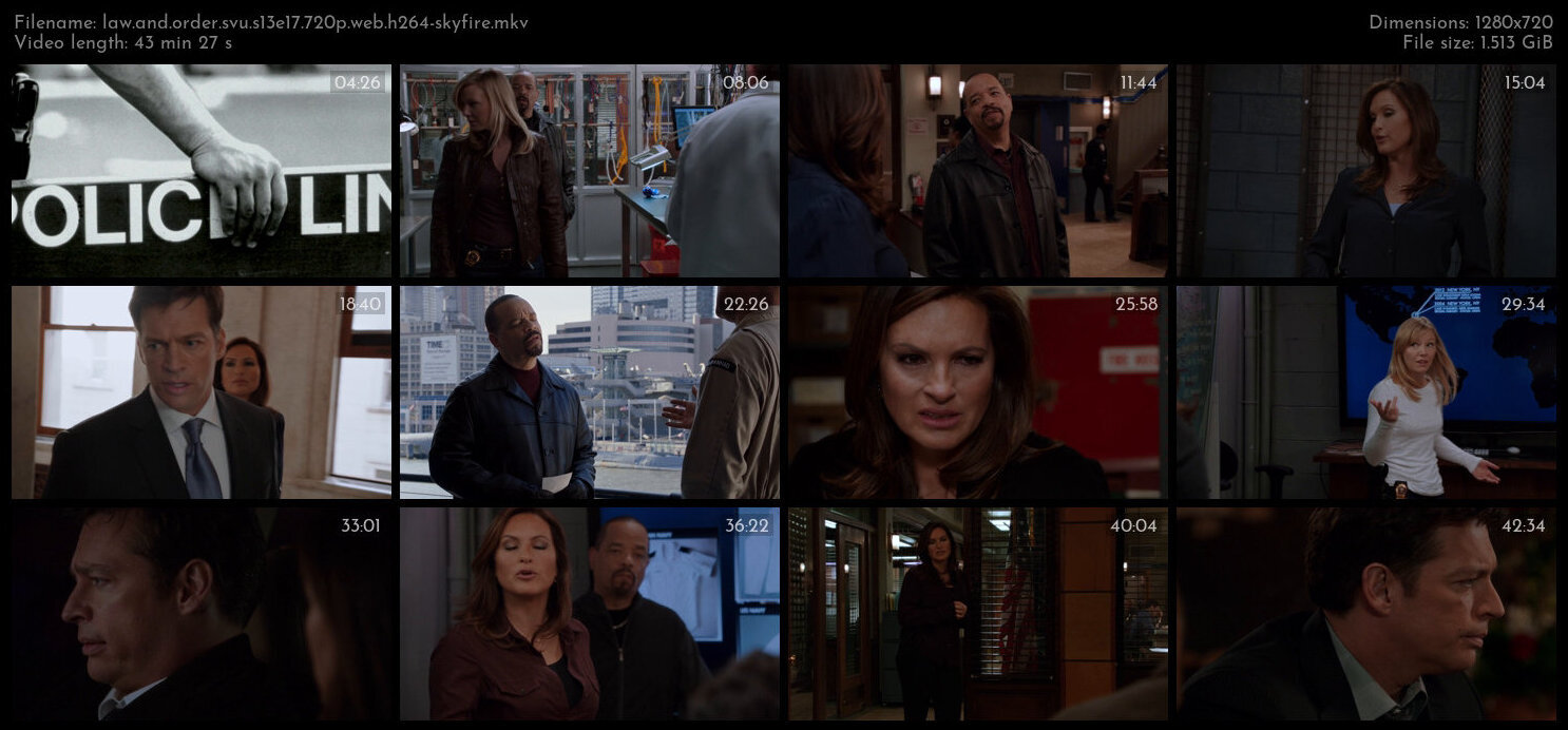 Law And Order SVU S13E17 720p WEB H264 SKYFiRE TGx