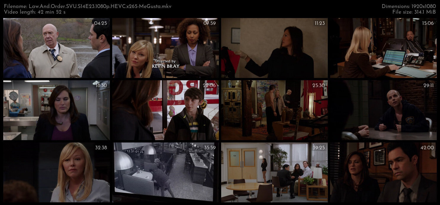 Law And Order SVU S14E23 1080p HEVC x265 MeGusta TGx