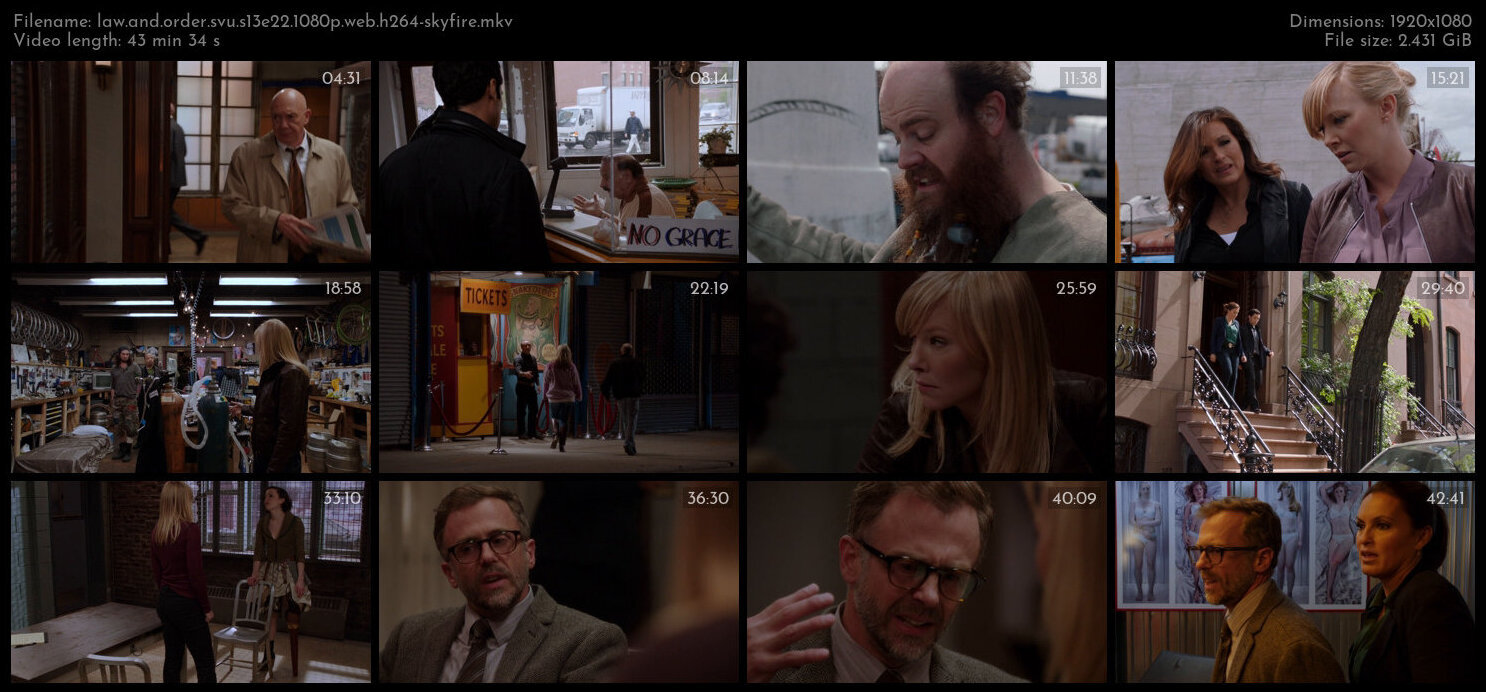 Law And Order SVU S13E22 1080p WEB H264 SKYFiRE TGx