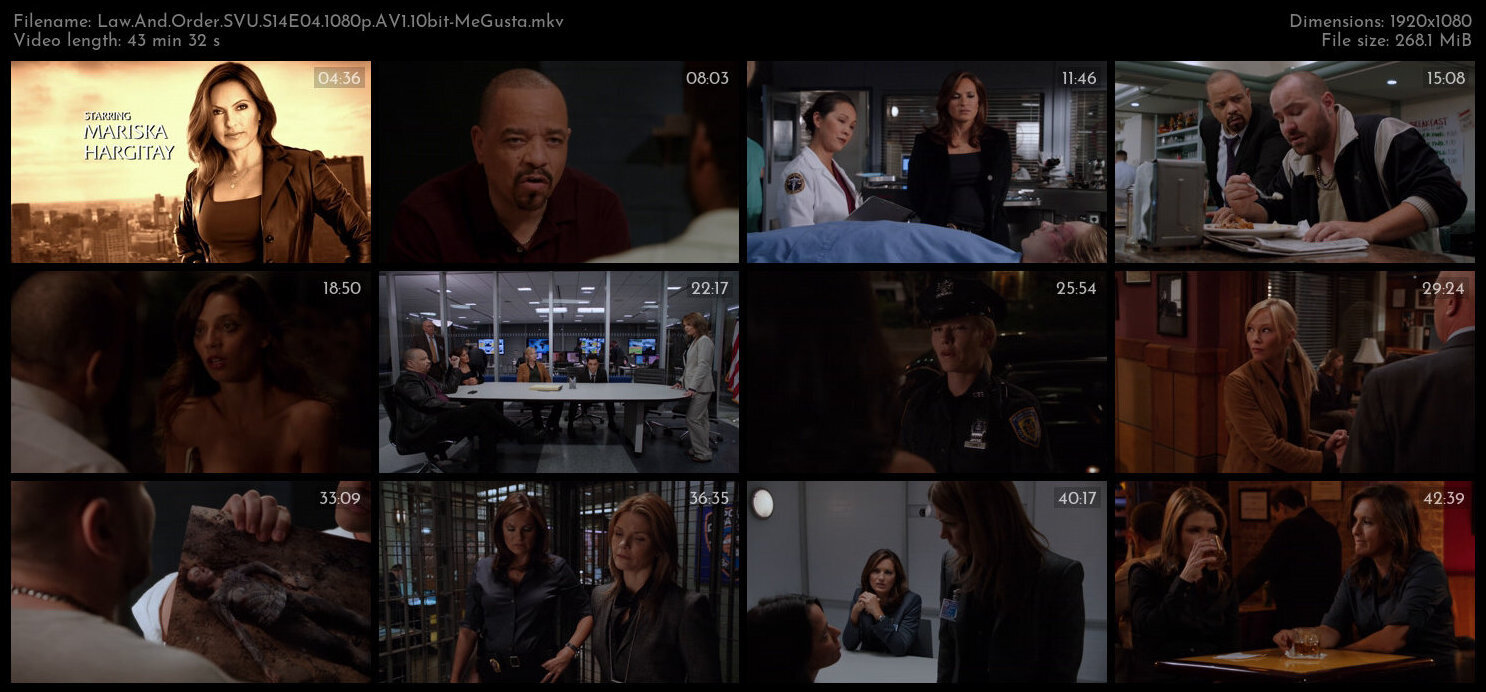 Law And Order SVU S14E04 1080p AV1 10bit MeGusta TGx