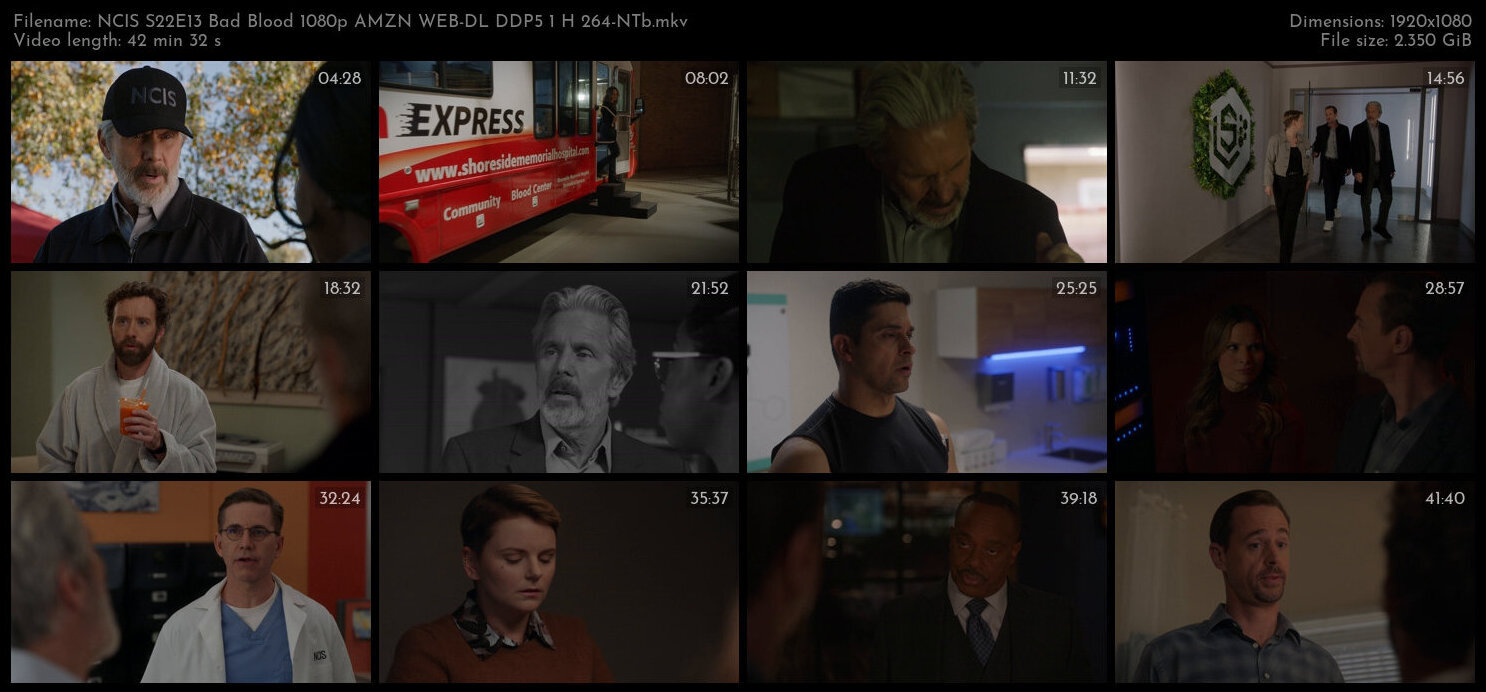 NCIS S22E13 Bad Blood 1080p AMZN WEB DL DDP5 1 H 264 NTb TGx