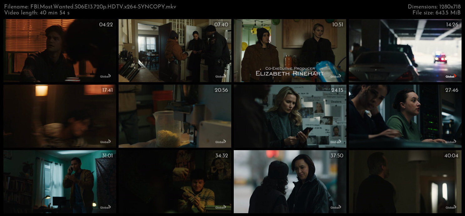 FBI Most Wanted S06E13 720p HDTV x264 SYNCOPY TGx