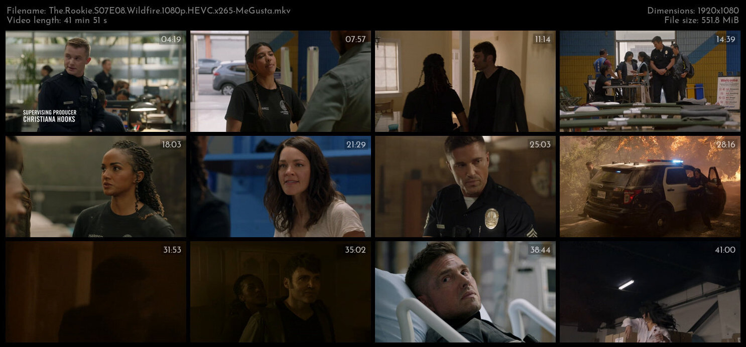 The Rookie S07E08 Wildfire 1080p HEVC x265 MeGusta TGx