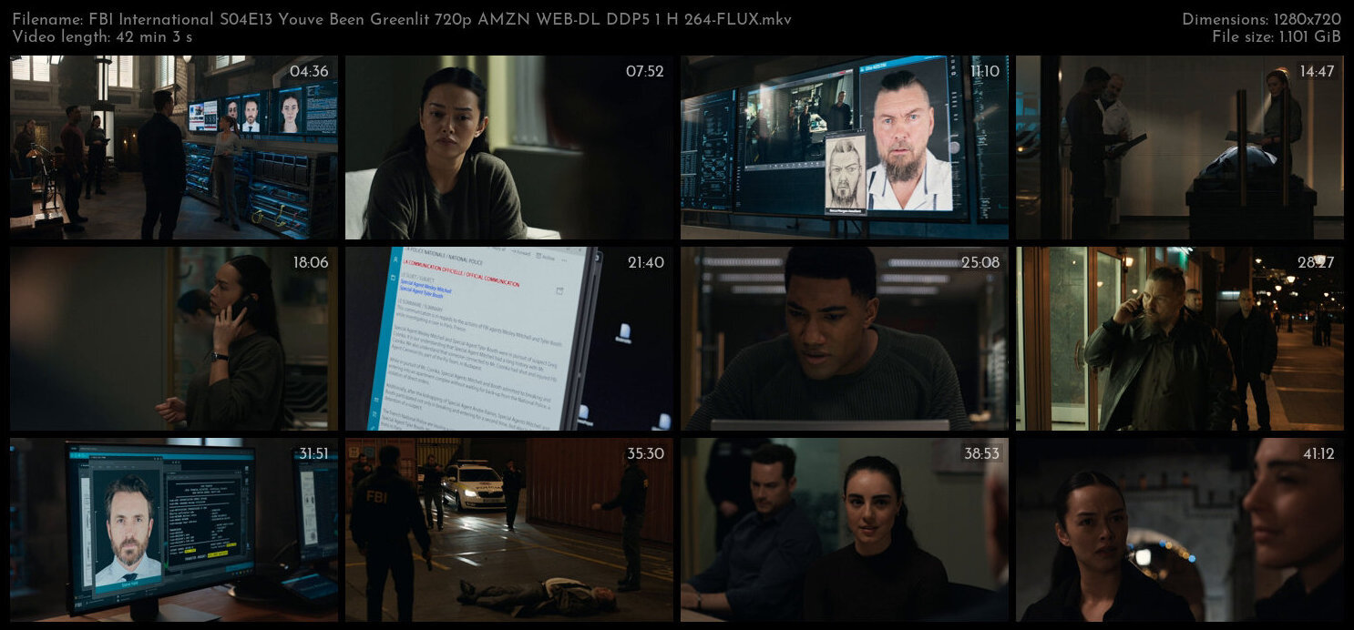 FBI International S04E13 Youve Been Greenlit 720p AMZN WEB DL DDP5 1 H 264 FLUX TGx