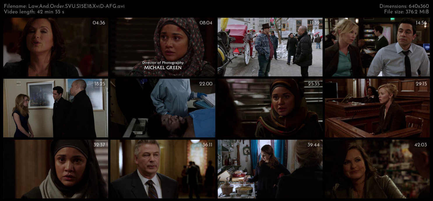 Law And Order SVU S15E18 XviD AFG TGx