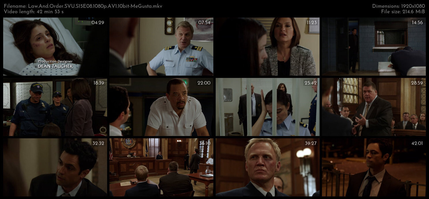 Law And Order SVU S15E08 1080p AV1 10bit MeGusta TGx