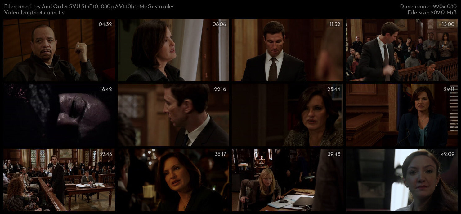 Law And Order SVU S15E10 1080p AV1 10bit MeGusta TGx