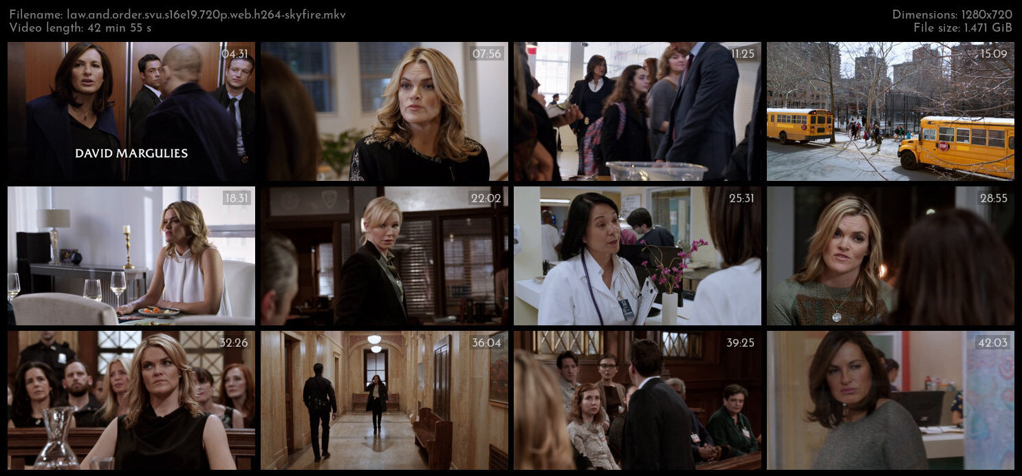 Law And Order SVU S16E19 720p WEB H264 SKYFiRE TGx