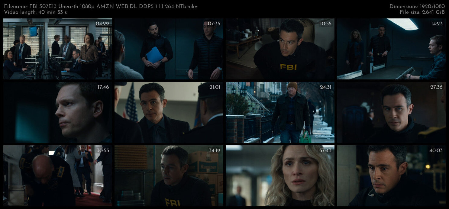 FBI S07E13 Unearth 1080p AMZN WEB DL DDP5 1 H 264 NTb TGx