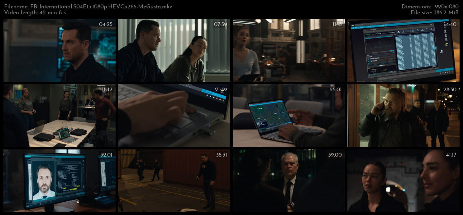 FBI International S04E13 1080p HEVC x265 MeGusta TGx