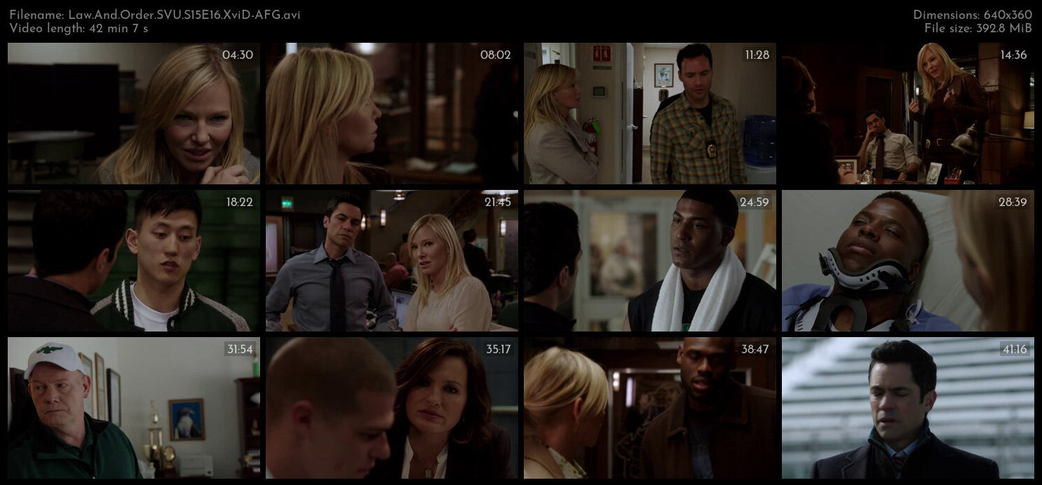 Law And Order SVU S15E16 XviD AFG TGx